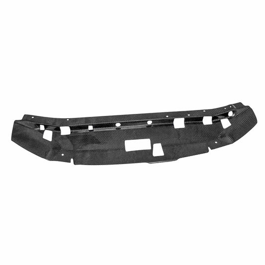 Seibon Carbon Fiber Cooling Plate 1999-2001 Nissan Skyline R34