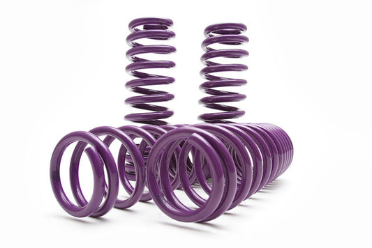 D2 Racing Lowering Springs 2023+ Nissan Z | Nissan 370z | Infiniti G37